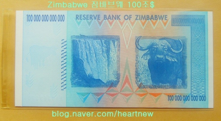 달러 환율 짐바브웨 짐바브웨, 자국
