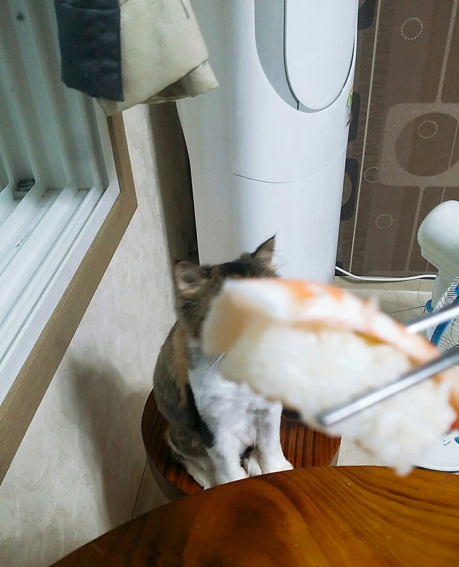부라보마트 이미지