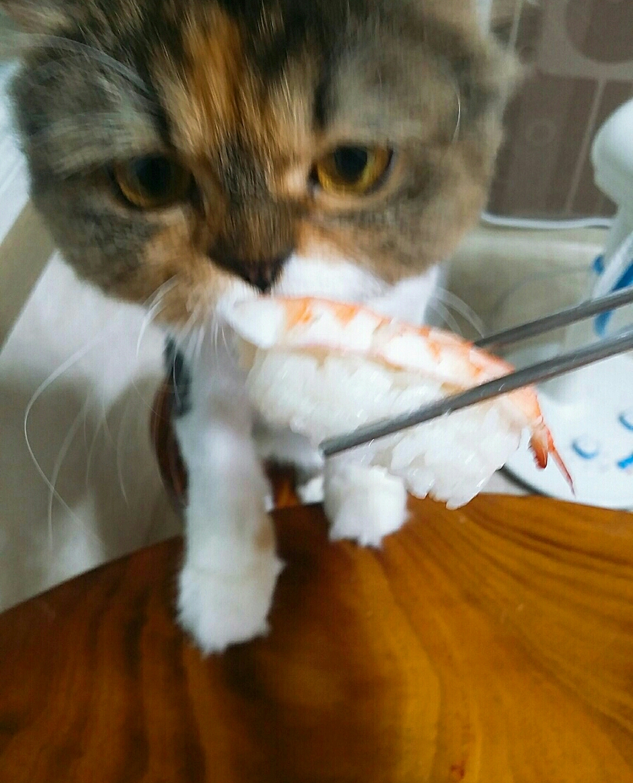 부라보마트 이미지
