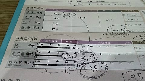 오오다이어트 이미지