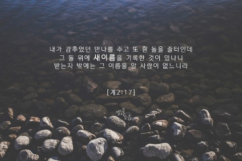 새이름 이미지