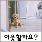먹자 이미지