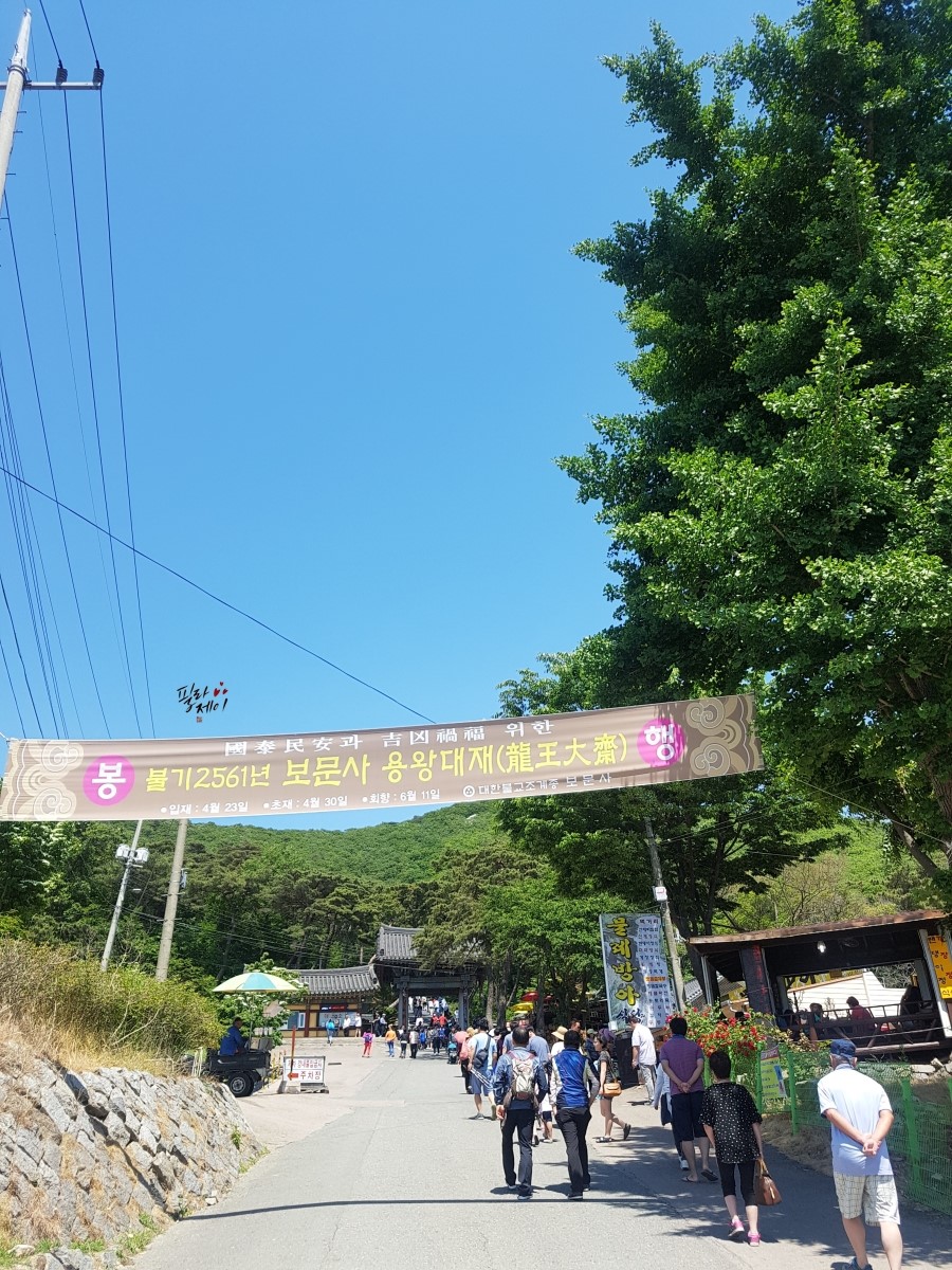 요거프레소 석모도점 이미지