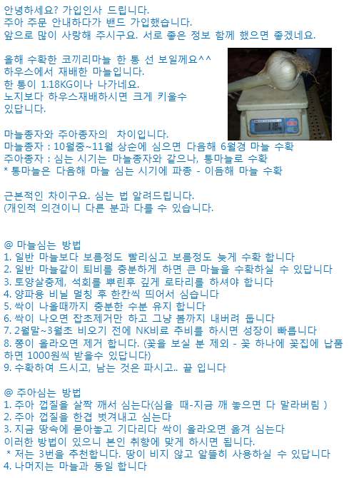주아로지스 이미지