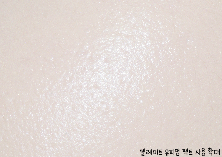디자인핏 이미지