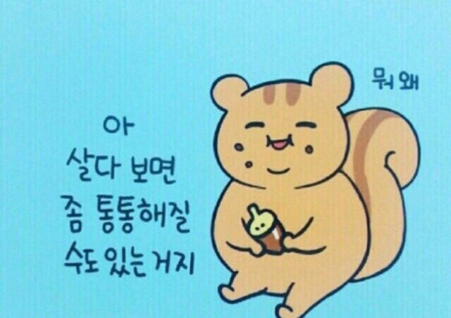 비스트로큐슈 대표 사진
