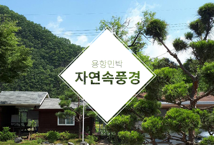 자연속의풍경 이미지
