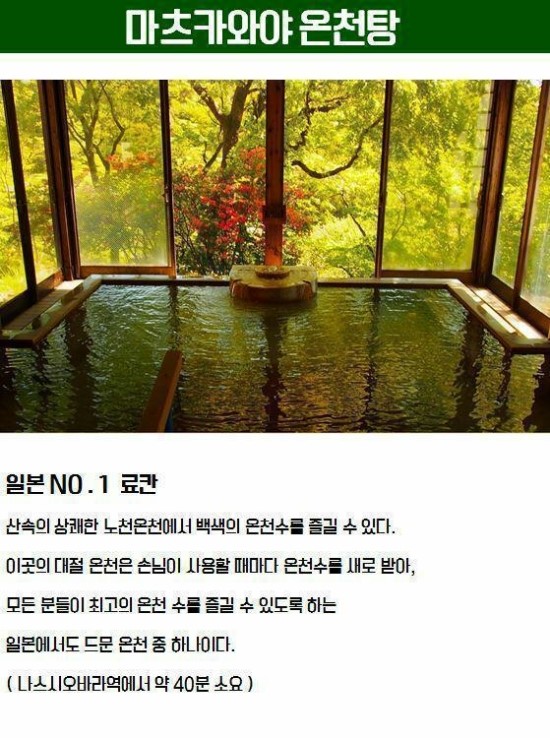 나스투어 이미지