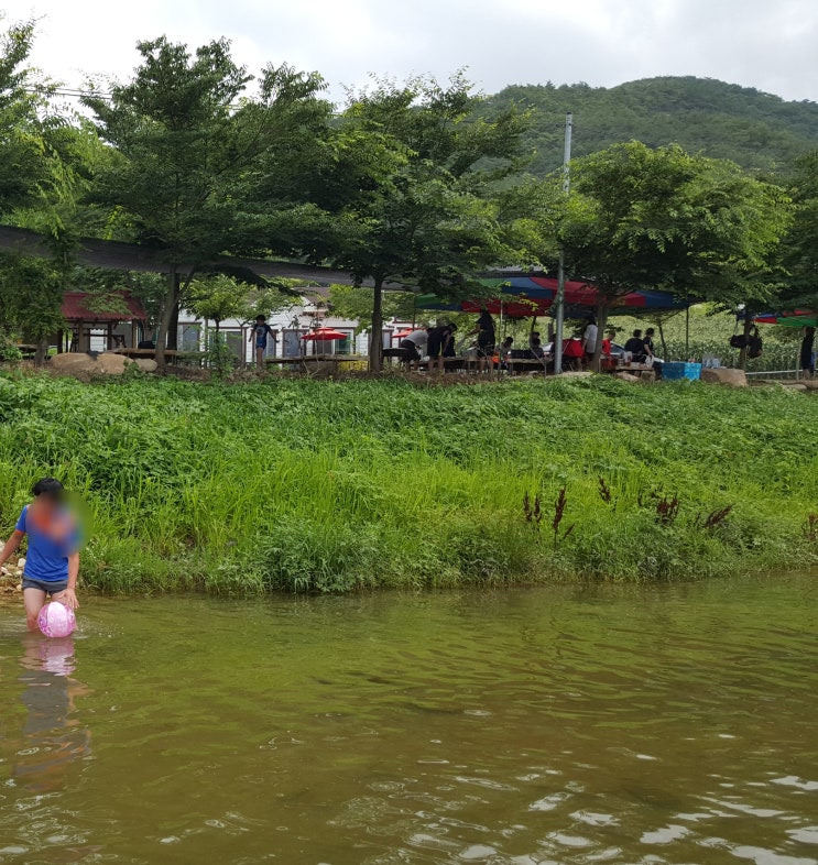 들마루펜션 이미지