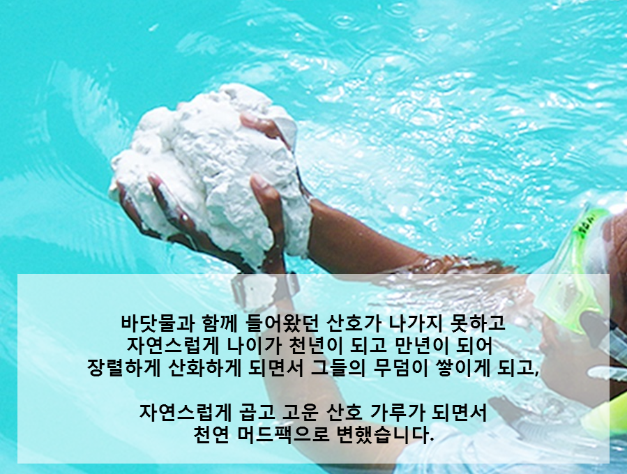 팔라우여행사 이미지