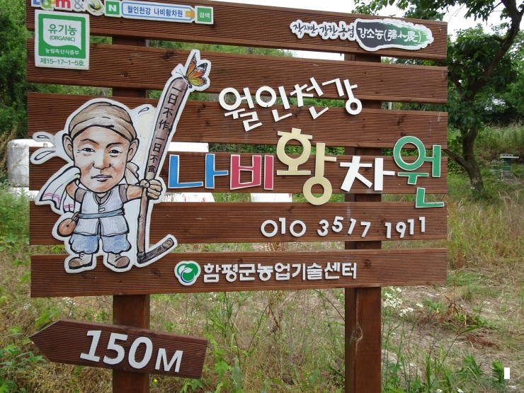 월인천강나비황차원 이미지