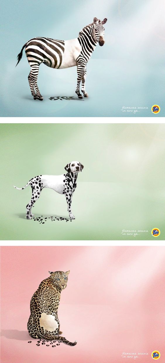 수디자인광고 이미지