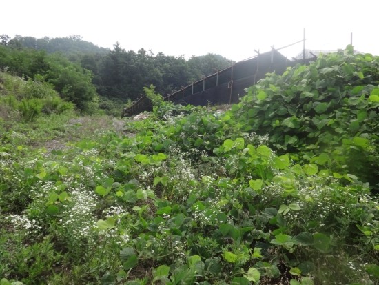 삼포화학 이미지