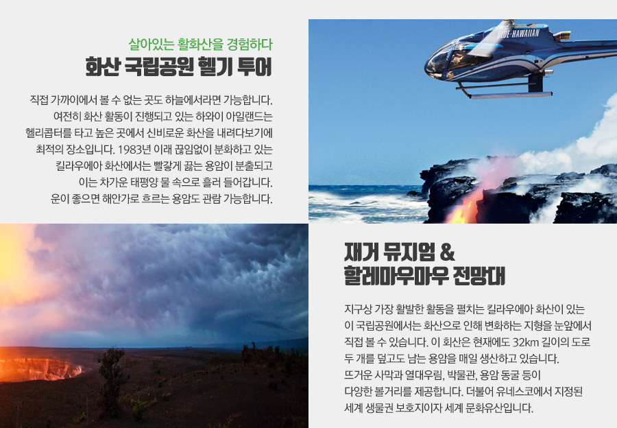 파라다이스여행사 이미지