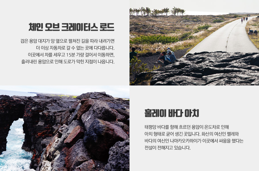 파라다이스여행사 이미지