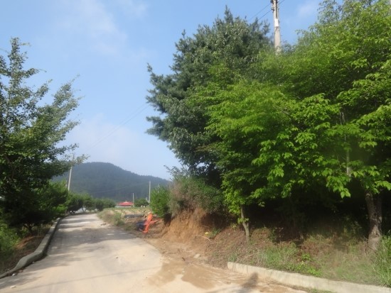 횡성콩마당 이미지