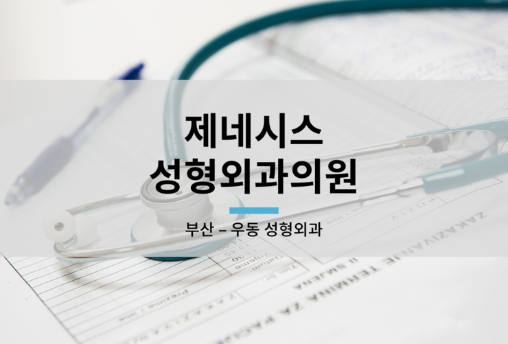 제네시스성형외과의원 이미지