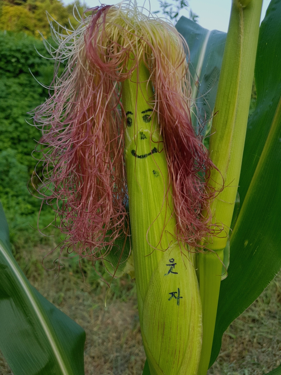 유정상회 이미지