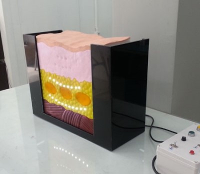 디앤피기획 이미지