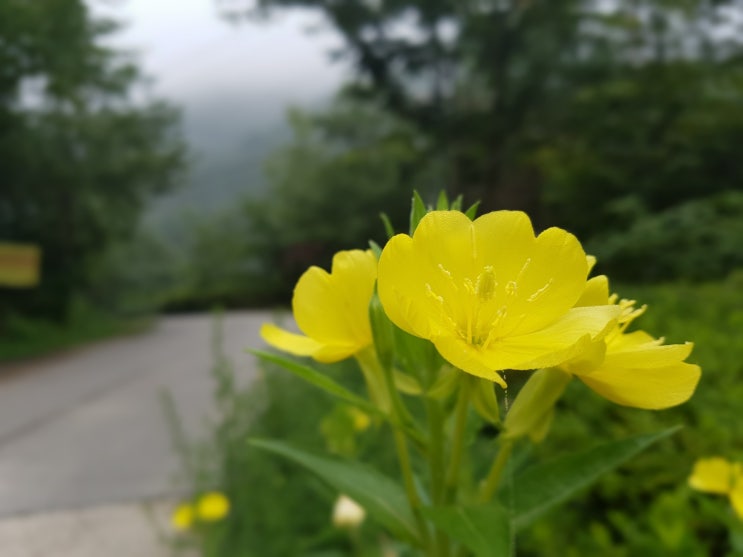 국립운장산자연휴양림 이미지