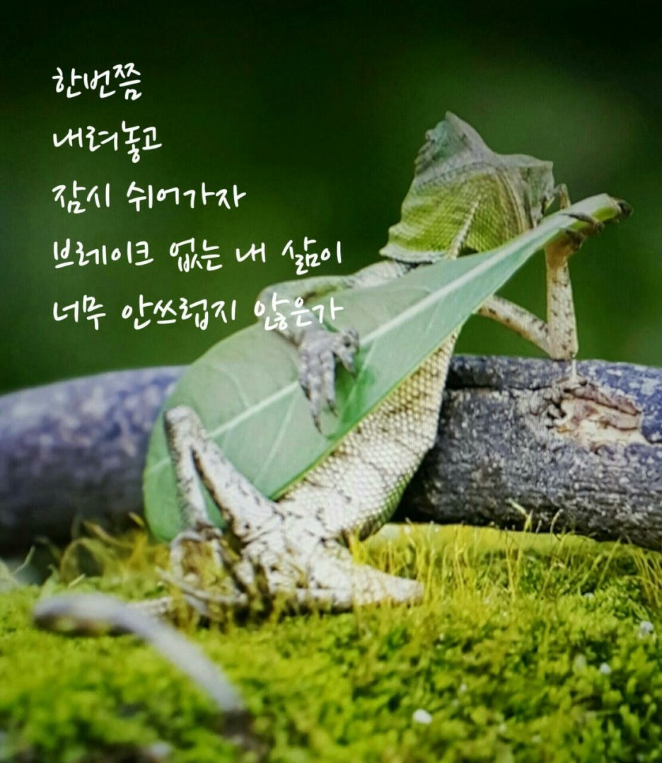 킹당구클럽 이미지