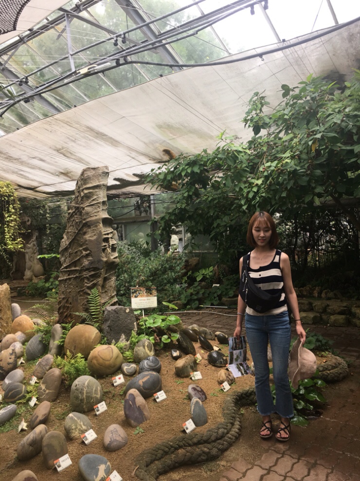 다래투 이미지
