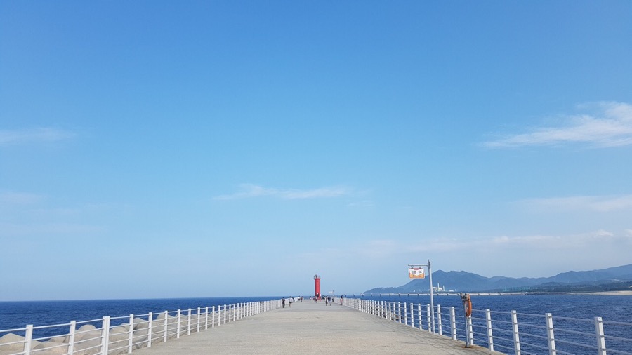유성회식당 이미지