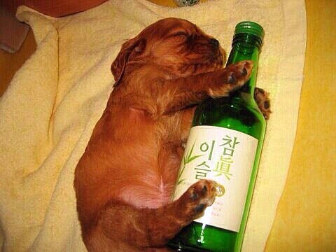 제주오겹살왕돌판구이 이미지