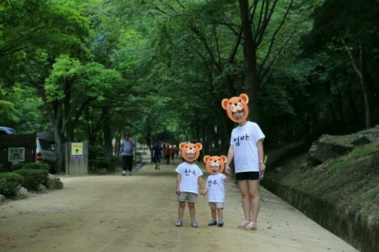 인닥스 이미지