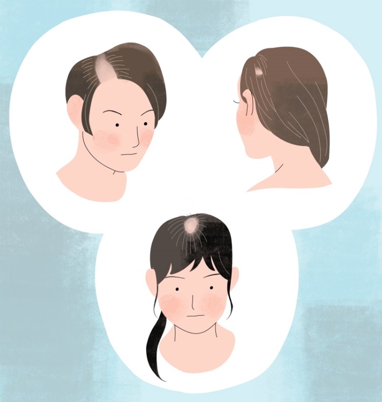 미다모은 이미지