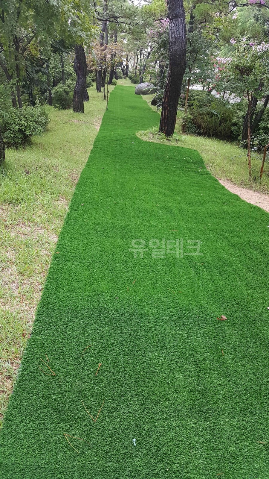 메르테크 이미지