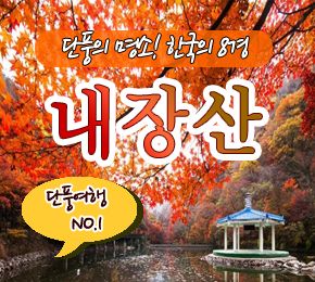 제이캠프 테마여행사 이미지