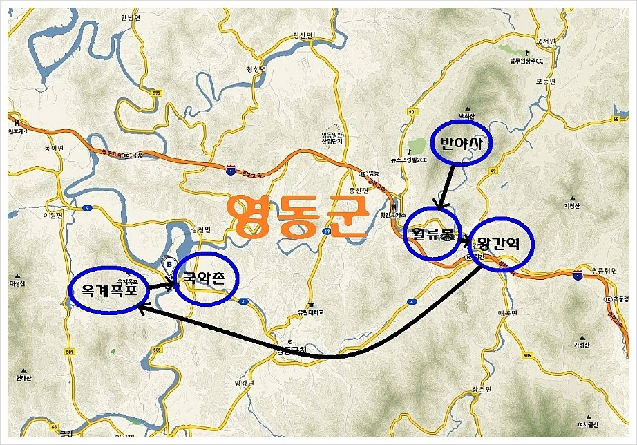 (주)영동여행사 이미지