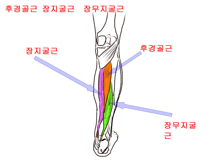 화목한의원 이미지