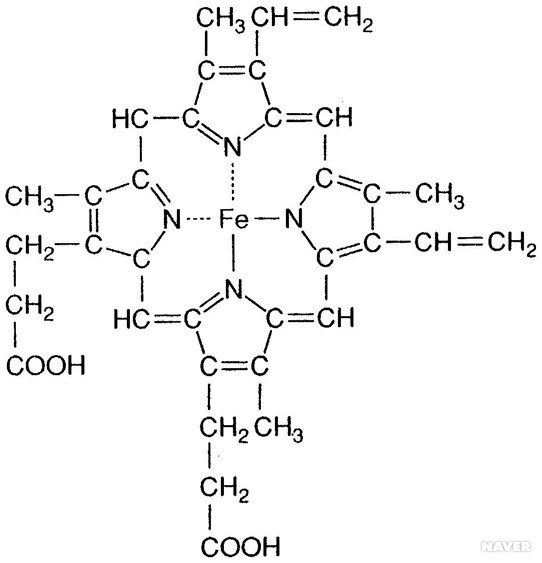 철분제, 산화철, 헴철, 아미노철, 빈혈, 화학식, 분자구조 네이버 블로그