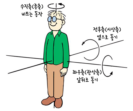인체의 회전운동을 위한 3가지 회전축(각운동, 수직축, 전후축, 좌우축) : 네이버 블로그