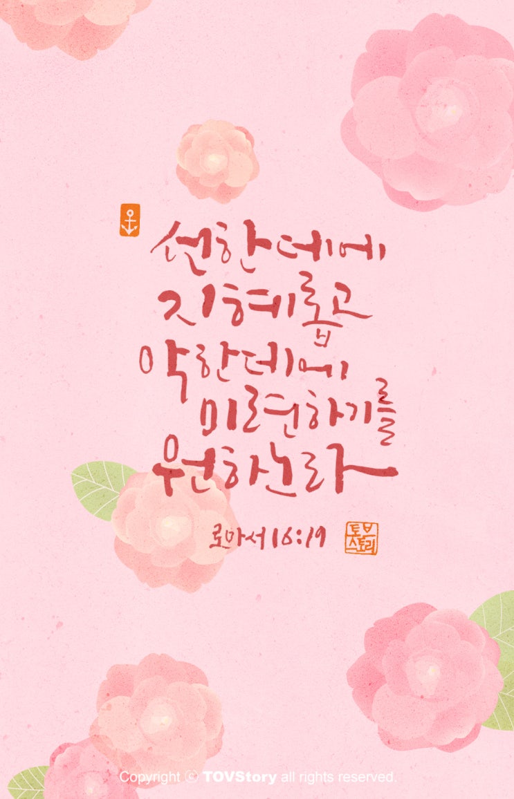 디자인토브 이미지