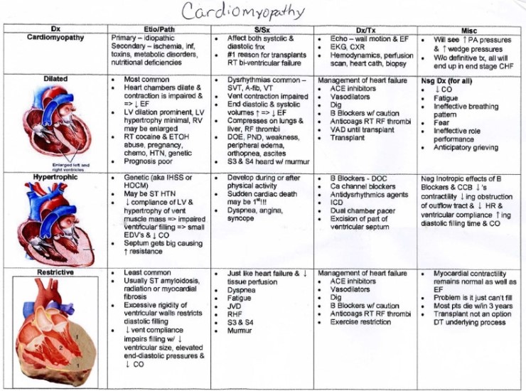 Restrictive Cardiomyopathy Rcm 제한 심근병증 네이버 블로그