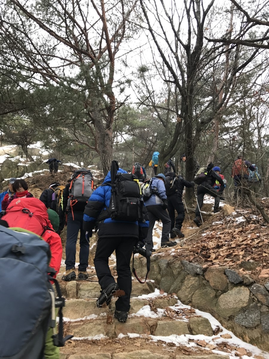 보배사 이미지