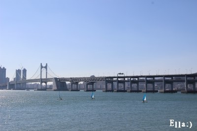 꼬막정찬 마린시티점 이미지