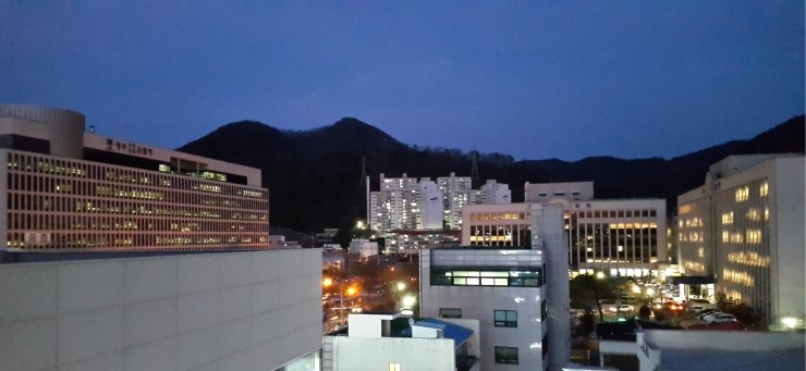 법무법인정진 이미지