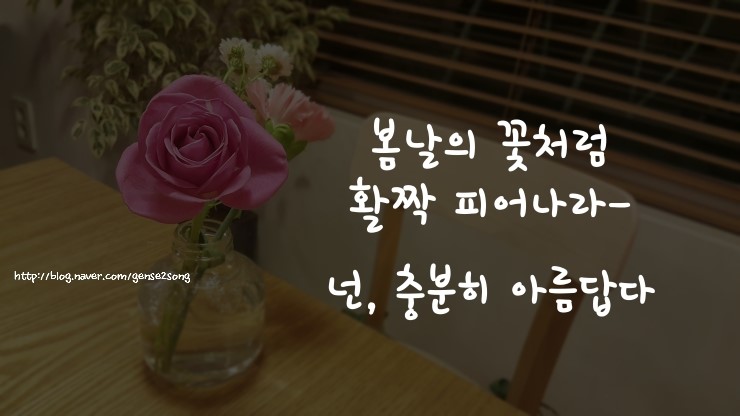 너의봄날 이미지