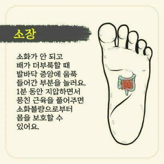 발건강관리족심도 이미지
