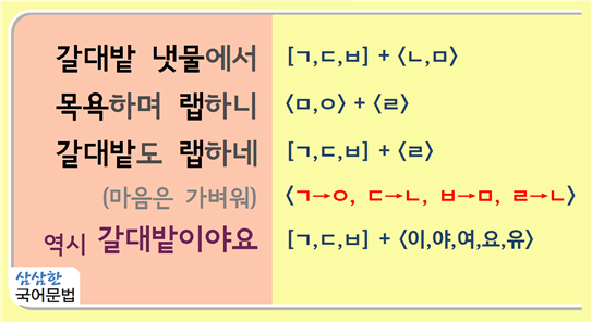 밭이랑반니랑 이미지