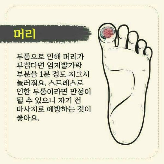 발건강관리족심도 이미지