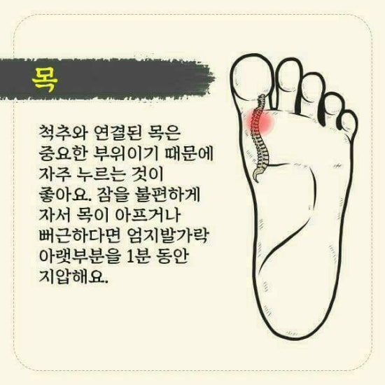 발건강관리족심도 이미지