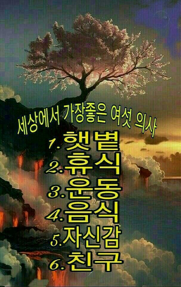 엘라이프 이미지
