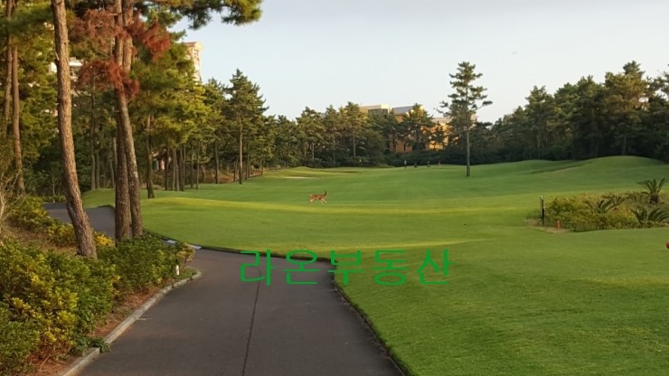 더좋은제주 이미지