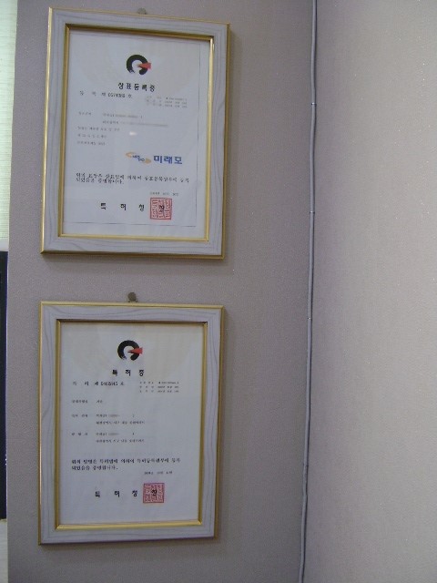 미래모 이미지