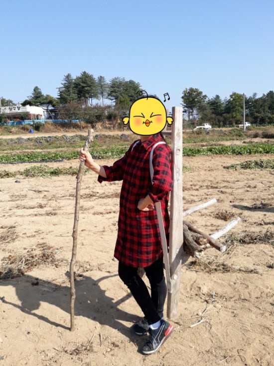 투어라인여행사 이미지